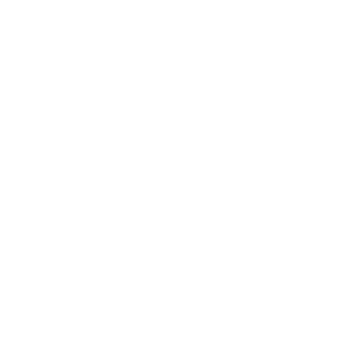 Apple Store